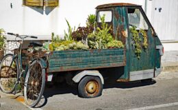 015 - mobiler schrebergarten